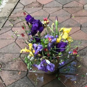 Meet your Posher, Joyce